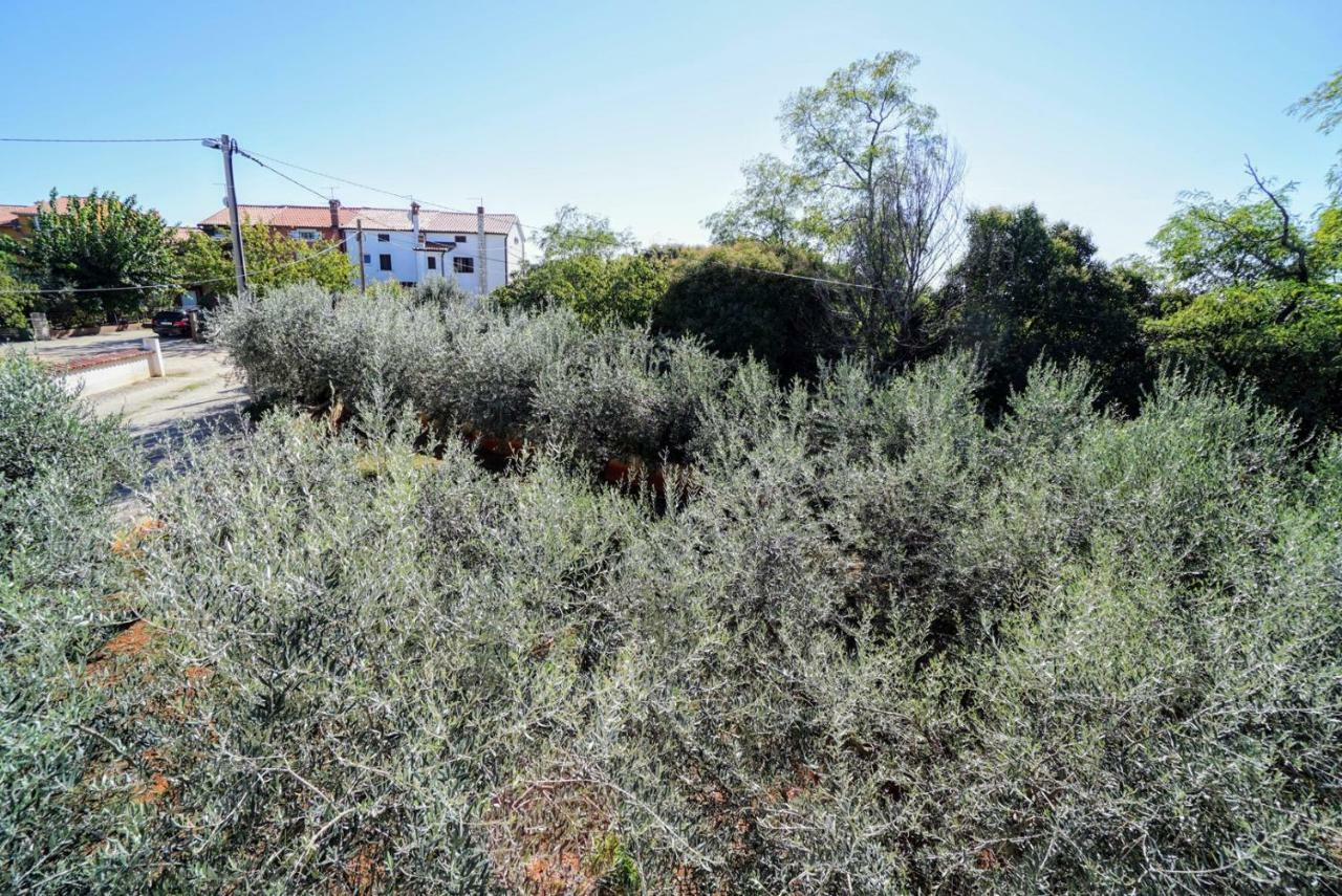 Apartment Daniela Savudrija Εξωτερικό φωτογραφία